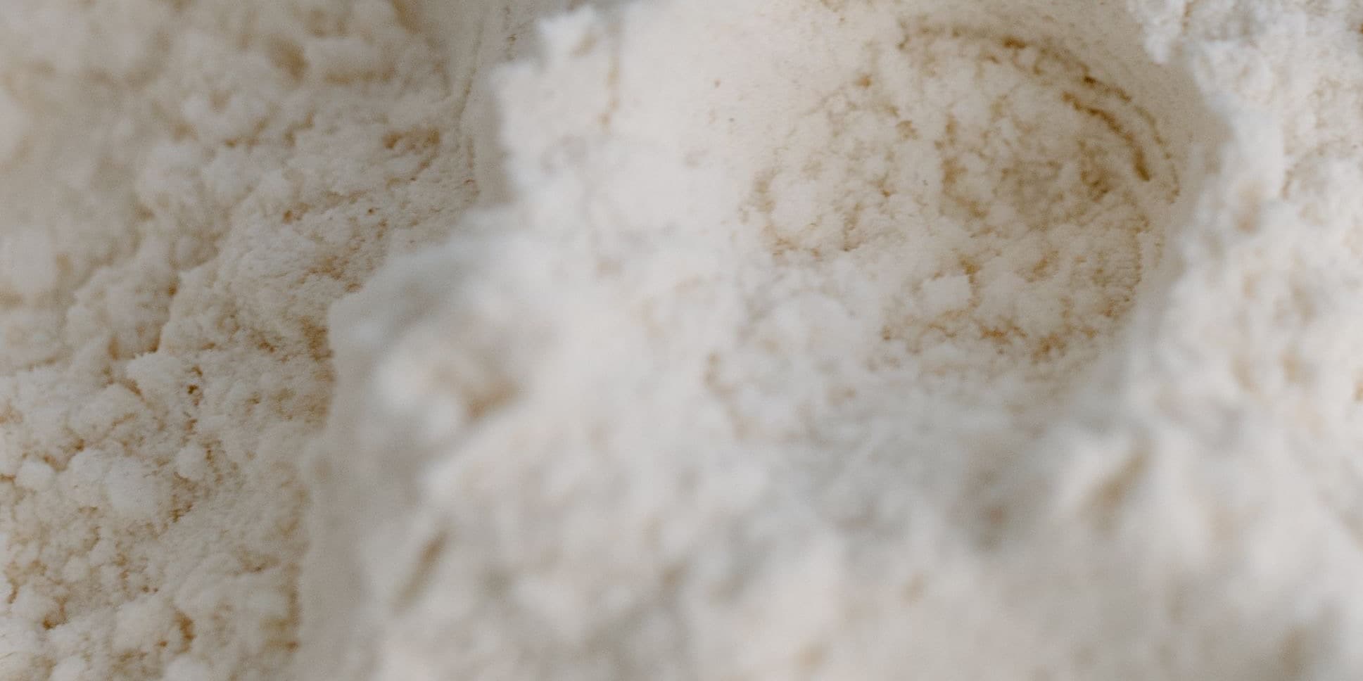 Close-up of a white powder